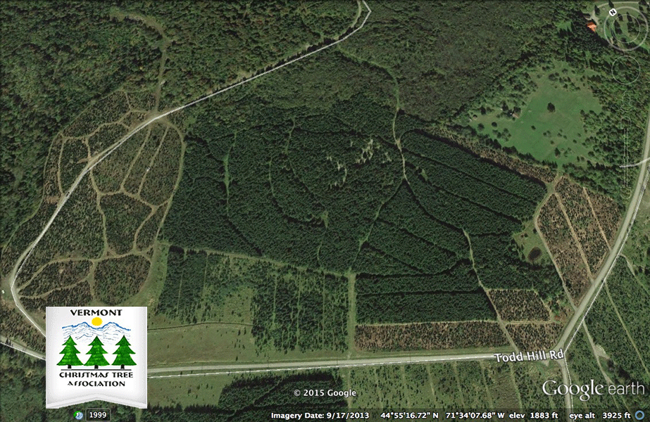 This satellite image, courtesy of Google Earth, shows a large portion of Uncle Steve's northern New England Christmas tree farm located just south of the Quebec, Canada border.