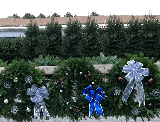 We have extra tall Christmas trees for cathedral ceilings and custom decorated wreaths to complement any decor.