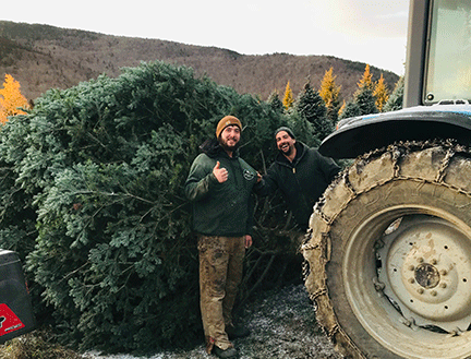 Our Christmas Tree Lot is located at 1371 Hooksett Road in Hooksett, New Hampshire, right next to R & R Public Wholesalers.