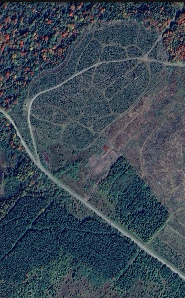 This satellite image, courtesy of Google Earth, shows a portion of Uncle Steve's northern New England Christmas tree farm located just south of the Quebec, Canada border.