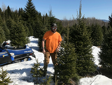 Our Christmas tree lot is well-lit and our trees are individually displayed in tree stands to help you choose the perfect Christmas tree for your home.
