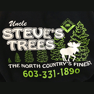 An easy-to-run fundraiser, a Christmas tree fundraiser is the way to go!