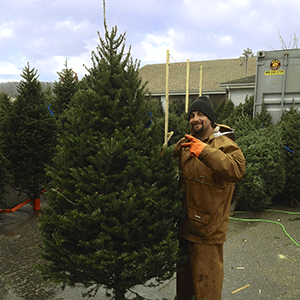 Foolproof fundraising - Everyone needs Christmas trees and Christmas wreaths.
